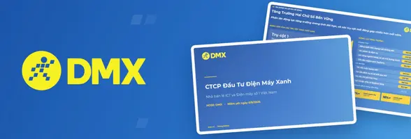 Hồ sơ doanh nghiệp CTCP Đầu Tư Điện Máy Xanh — Nhà bán lẻ ICT và Điện máy số 1 Việt Nam · HOSE: DMX